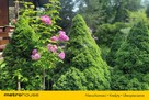 Dom 72m2 z ogrodem w lesie. Arciechów nad Bugiem. - 9