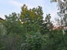 Działka budowlana Łazy gm. Lesznowola, - 8