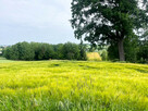 Ustawna działka z WZ - 8300m2 Czajęcice - 2