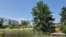 Kawalerka Ursynów Mokotów - niska zabudowa, zieleń - 11