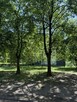 3 pokoje 48m2 | Zielona Sadyba | Gotowe do zamieszkania - 13
