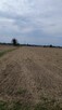 Działka Kruszyna 39 arow - 7