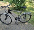 Rower Trekingowy Pegasus z - 3