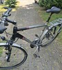 Rower Trekingowy Pegasus z - 7