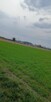Działka Kruszyna 39 arow - 9