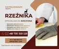 Rzeźnik / NIEMCY ! Pełen social / Dziczyzna