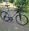 Rower Trekingowy Pegasus z - 5
