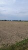 Działka Kruszyna 39 arow - 8