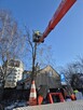 Usługi podnośnikiem koszowym - 11