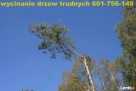 wycinanie drzew arborystyka 505-933-515 sląskie - 7