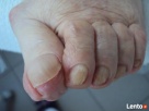 PODOLOG - 3