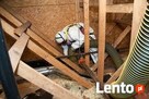 Mykotoksyny grozne dla zdrowia czyli grzyb i pleśń w domu - 8