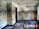 Mykotoksyny grozne dla zdrowia czyli grzyb i pleśń w domu - 4