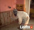 Mykotoksyny grozne dla zdrowia czyli grzyb i pleśń w domu - 7