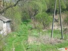 Sprzedam nieruchomość – gospodarstwo rolne - 7