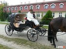 Bryczka na ślub - Stanisław Rudkiewicz - 5