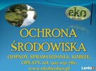 Barszcz Sosnowskiego, zwalczanie, usuwanie, likwidacja - 4