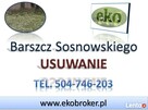 Barszcz Sosnowskiego, zwalczanie, usuwanie, likwidacja - 2