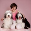 SHAGGY DOG - SPA, hotel, minisklep dla psa i kota - 2