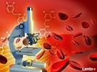 Badania laboratoryjne - 1