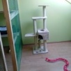 Domowy hotelik dla kotów - 3