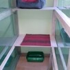Domowy hotelik dla kotów - 4