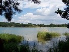 Sprzedam działkę - 7