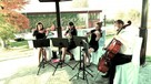 Trio smyczkowe zagra na ślubie - 4