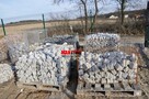 KOSTKA GRANITOWA SZARA, KAMIEŃ NATURALNY, KOSTKA BRUKOWA - 4