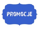 VAN BUS TAXi PRZEWOZY TAKSÓWKOWE TAXi SERVICES przewóz osób - 5