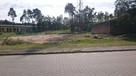 Do Wydzierżawienia działka 1000-6000 m2 Świnoujście Warszów - 3