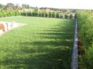 Ogród , trawnik, nawadnianie, nasadzenia - 2