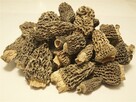 Smardz jadalny, (Morchella esculenta) SUSZONY 1 kg - 2