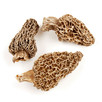 Smardz jadalny, (Morchella esculenta) SUSZONY 100 g - 1