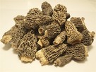 Smardz jadalny, (Morchella esculenta) SUSZONY 20 g - 2