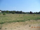 Działki Zalew Przykona pow.Turek woj.wielkopolskie - 4
