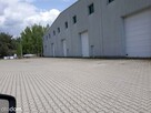 Hala/Magazyn, 700 m², Ożarów Mazowiecki - 7