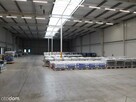Hala/Magazyn, 5 670 m², Toruń - 7