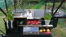 Rower gastronomiczny, cafe bike, napęd elektryczny, solar - 3