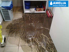 Sprzątanie po wybiciu kanalizacji zalaniu Chorzów - 3