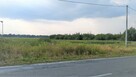 ATRAKCYJNA DZIAŁKA INWESTYCYJNA 92ar przy DW 335 Biała - 3