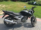Honda cbf250 - 1