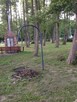 Pole campingowe -namiotowe Majka - 5