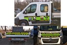 Wycinka Drzew Mielenie Gałęzi Usuwanie Pni Korzeni - 2