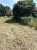 Kosiarka sadownicza - 3