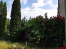 Dom 123 m², Zielona Góra, Osiedle Leśne - 7