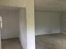 Sprzedam siedlisko w okolicach Staroźreb - 2