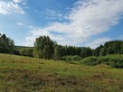 *Działka z linią brzegową jeziora Limajno* - 3