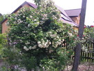 Ekowczasy-Agroturtystyka nad Bugiem - 4