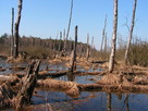 Ekowczasy-Agroturtystyka nad Bugiem - 12